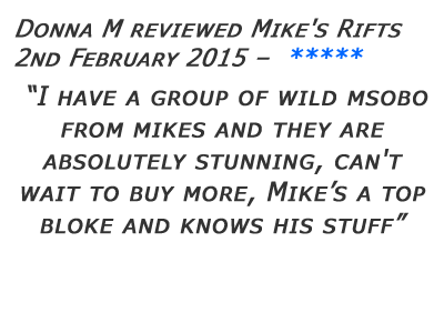 Mikes Rifts Review 20